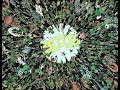 DC TL;DR: Green Lantern Corps | Swapnil Saurya