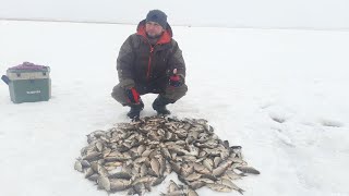 Рыбалка в марте на озере Рыбное,Северный Казахстан.