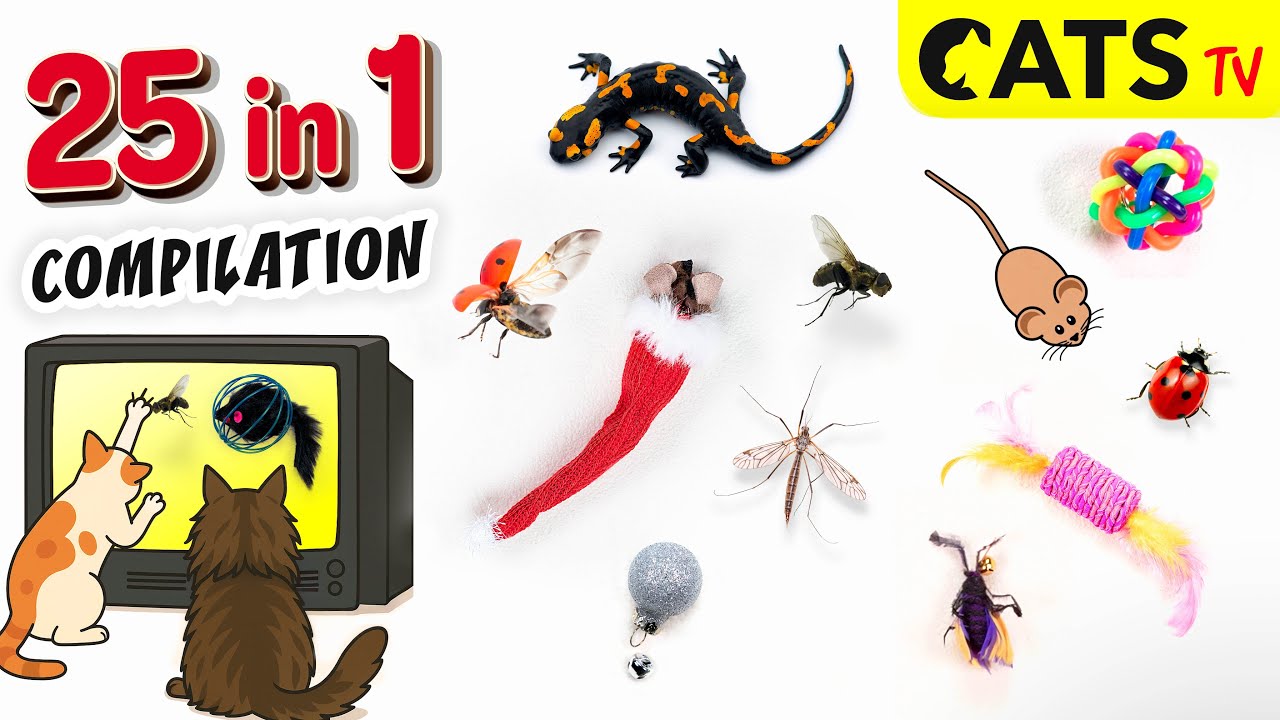 Cats TV 📺🐭  25 games for CATS 😼🦎🪳 Ultimate Compilation 😻 3D Audio 🔊