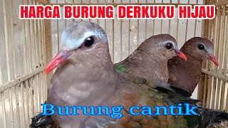 HARGA BURUNG DELIMUKAN/PUNAI TANAH | DERKUKU HIJAU 2023 #penghunibumiofficial #hargaburungterbaru