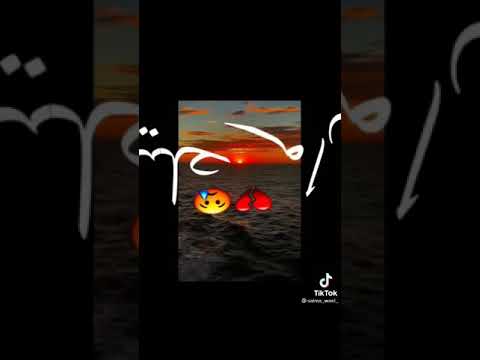 هو عشان انا حبيتك تامر حسنى