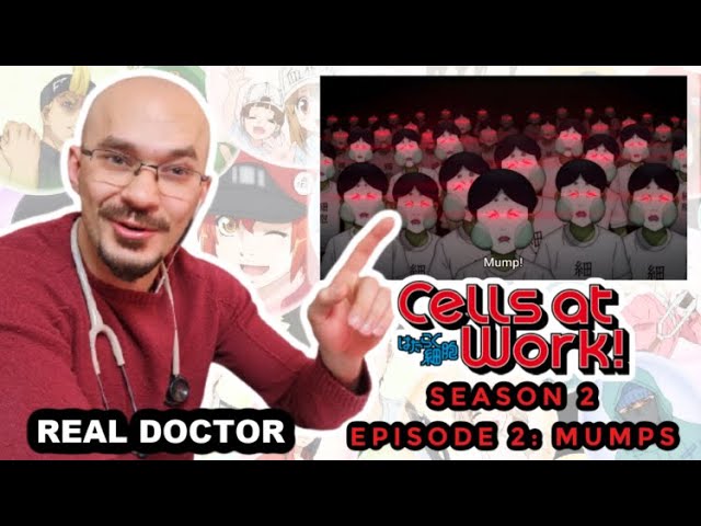 Cells At Work! Season 2 and CODE BLACK - Key Visuals (Both of them on  January 9th 2021): : r/CellsAtWork