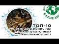 Топ-10 | Конкурс дизайна биотопных аквариумов 2017 | BADC 2017