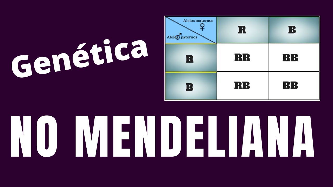 NO MENDELIANA YouTube NO MENDELIANA YouTube