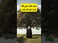 كيف قتل نبي الله زكريا عليه السلام Tiktok Foryou Capcut نبي الله مقاطع Islamic Video ترند كيف قتل نبي الله زكريا عليه السلام Tiktok Foryou Capcut نبي الله مقاطع Islamic Video ترند