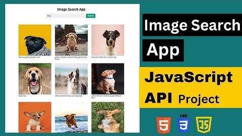 JavaScript Project | Image Search App With JavaScript API