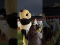 Panda show on a Dow Cruise with Family (Jan 2026)