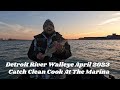 Detroit river walleye catch clean cook at the marina april 2023