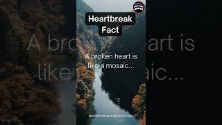 A broken heart is like a 19 short  quotes motivation shortfeed  status feedshorts fact