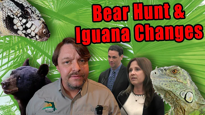 FWC Meeting: Bear Hunt and Iguana Changes