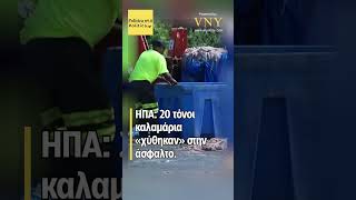 ΗΠΑ: 20 τόνοι καλαμάρια «χύθηκαν» στην άσφαλτο.