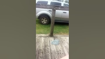 LispyJimmy rant explanation