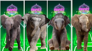 Tiles Hop - Elephant 🆚 Mammoth 🆚 Funny Elephant 🆚 Elephant 🎶 Tiles Hop EDM Rush screenshot 5