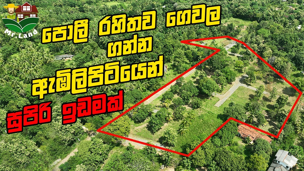 පොලී රහිතව ගෙවල ගන්න ඇඹිලිපිටියෙන් සුපිරි ඉඩමක් Land For Sale In