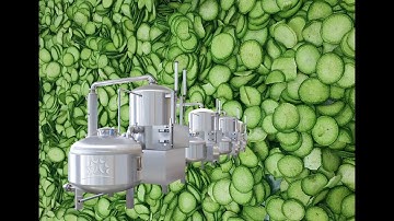 vacuum fried Vegetable Chips Process Line