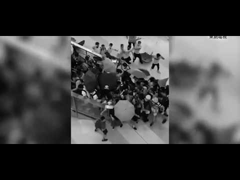 《革命》 動態歌詞MV