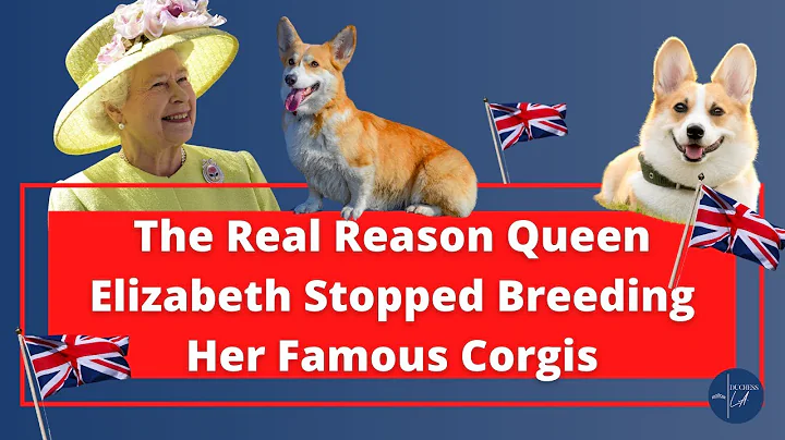 The Real Reason Queen Elizabeth Stopped Breeding Her Corgis