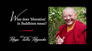 12. What does ‘liberation’ in Buddhism mean? | Answers for Beginners | Ringu Tulku Rinpoche