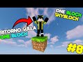 RITORNO A VIVERE SU UN BLOCCO - One Block Minecraft ITA Ep. 8