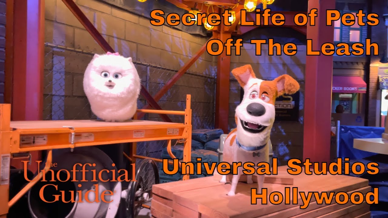 Secret Life of Pets Off The Leash at Universal Studios