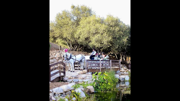 Wedding Highlights The Mentz Family