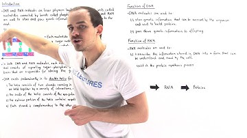 Introduction to Nucleic Acids