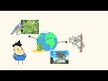 Why Do Living Things Change Their Environment MightyOwl Science Kindergarten Why Do Living Things Change Their Environment MightyOwl Science Kindergarten