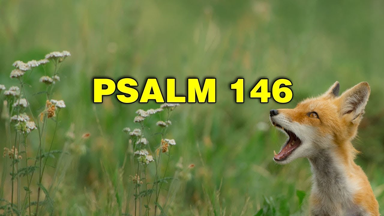 psalm-146-song-praise-ye-the-lord-christian-scripture-praise