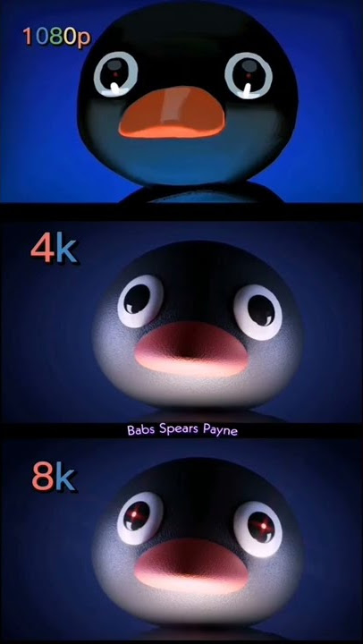 Noot Noot penguin 8k #meme #nootnoot #nootnootmeme