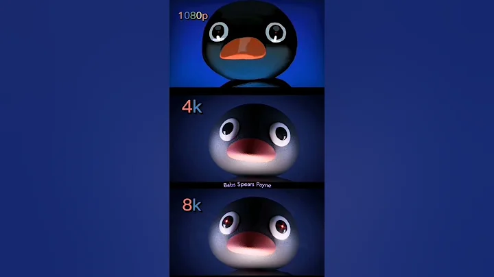 Noot Noot penguin 8k #meme #nootnoot #nootnootmeme