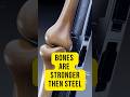 Bones are stronger than steel? 🧬 #shorts #bodyfacts #psychologyfacts