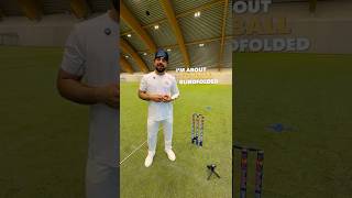 Cricket Blindfolded Challenge