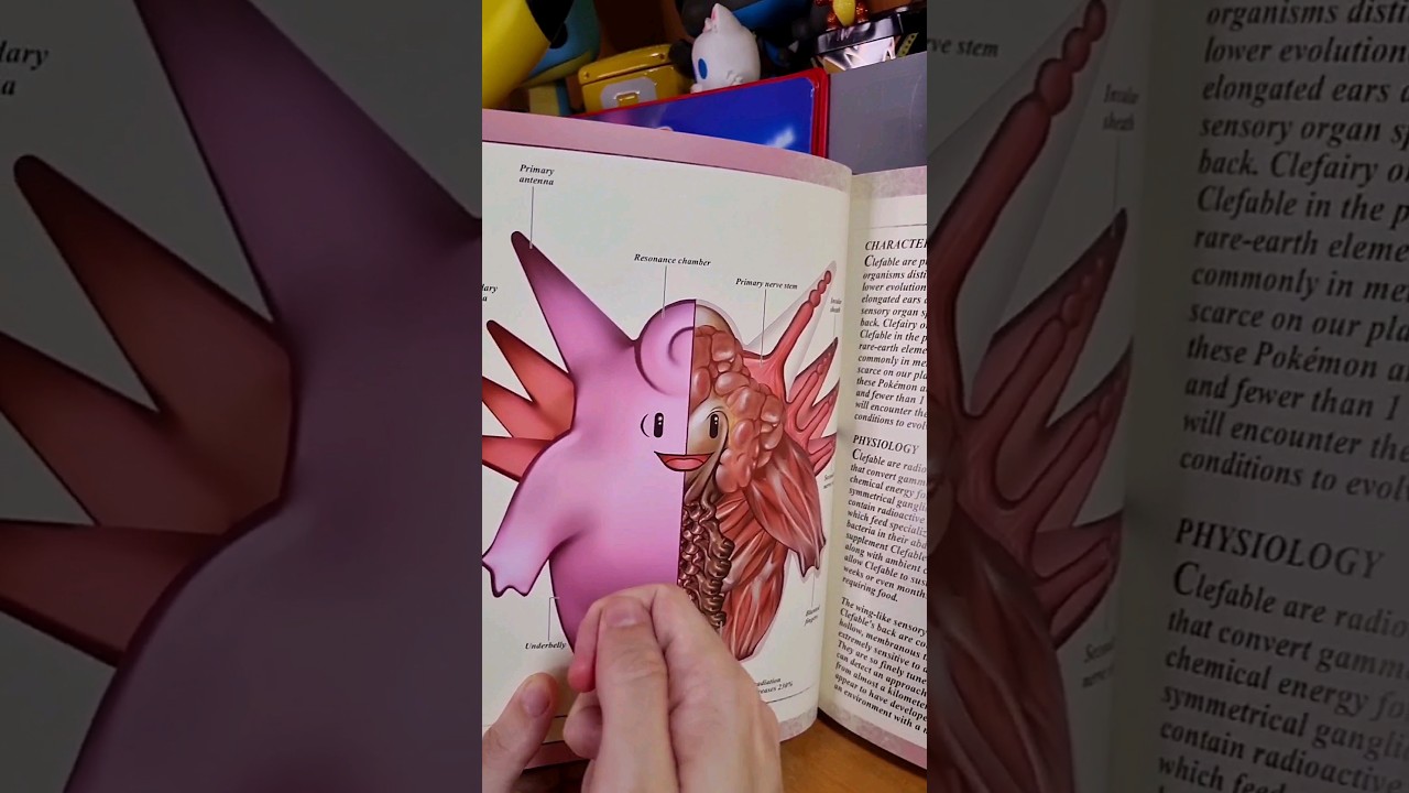 COMO É UM POKÉMON POR DENTRO? CLAFAIRY e CLAFABLE  Livro da Anatomia Pokémon #pokemon