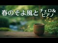 【1/fゆらぎ】心ほどける春の陽だまり。穏やかな一息とやさしい風景【チェロ・ピアノ】Relaxing Cello & Piano: Spring Sunshine