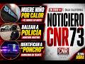 Noticiero Estatal - 4 de Mayo de 2026
