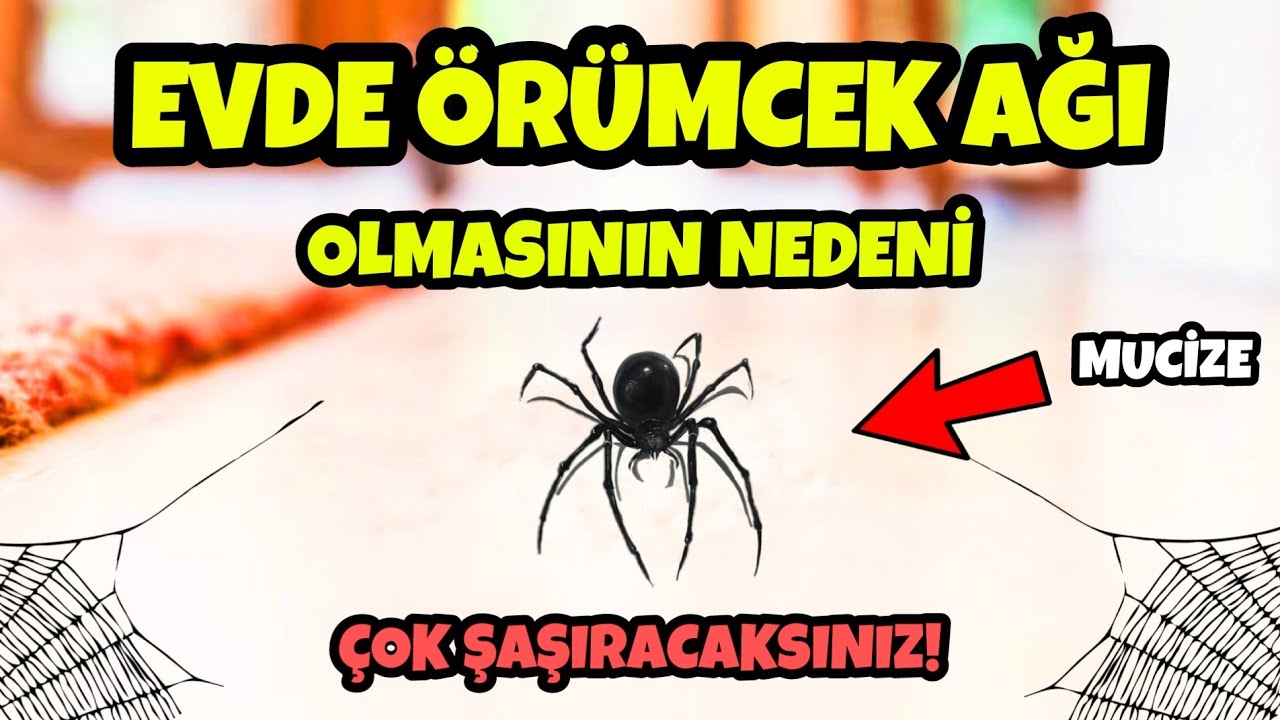 evde orumcek agi olmasinin nedenini duyunca sasiracaksiniz fakirlige sebep youtube