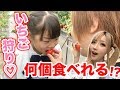 ちいめろファミリーイチゴ狩り♡食べ放題にチャレンジ!! 何個食べられるか!?【挑戦】