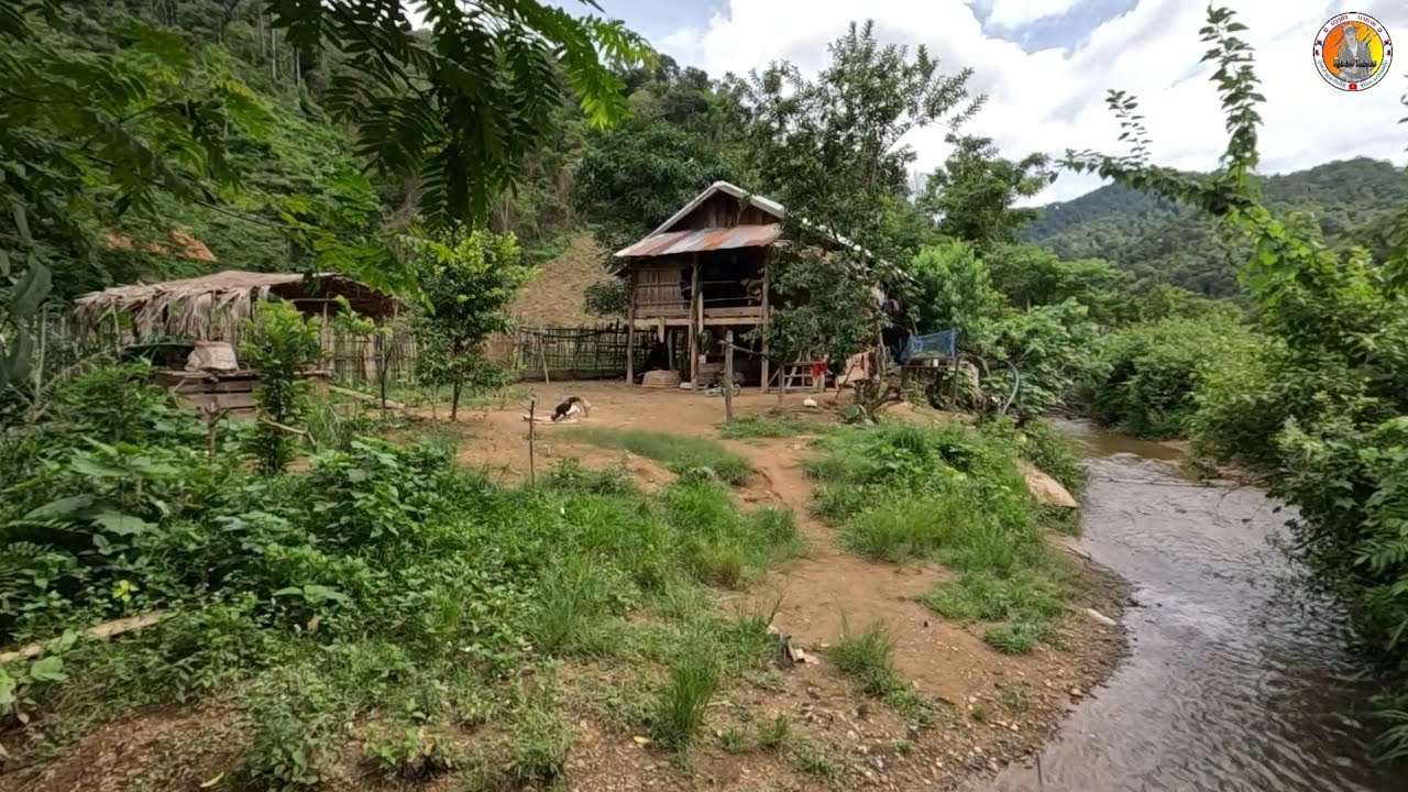 Look for rural village lao ตามหาหมู่บ้านลึกลับกลางป่าลึก #แบบนี้ก็อยู่ได้ #คล้ายหมู่บ้านลับแล