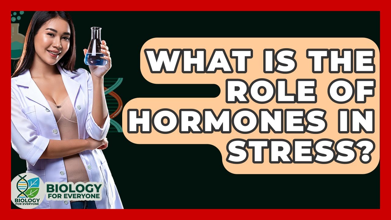 What Is The Role Of Hormones In Stress? - Biology For Everyone