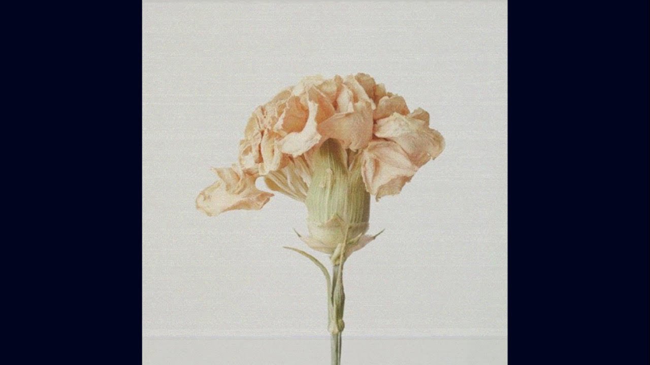 [SOLD] Japanese Lofi Chill hiphop × GREEN ASSASSIN DOLLAR type beat - 花 