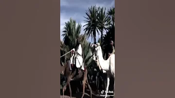 طلع البدر علينا 