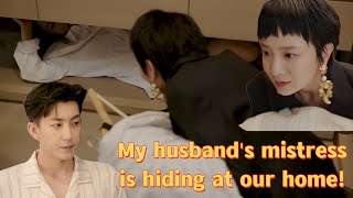 【Full Movie】She proposed her husband on a live broadcast, but caught him and his mistress at home! screenshot 1
