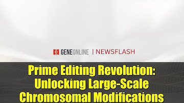 Prime Editing Revolution: Unlocking Large-Scale Chromosomal Modifications