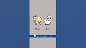 Learn English with Airlearn. Download now!  #languages #languagelearning#learnenglish  #Speakenglish