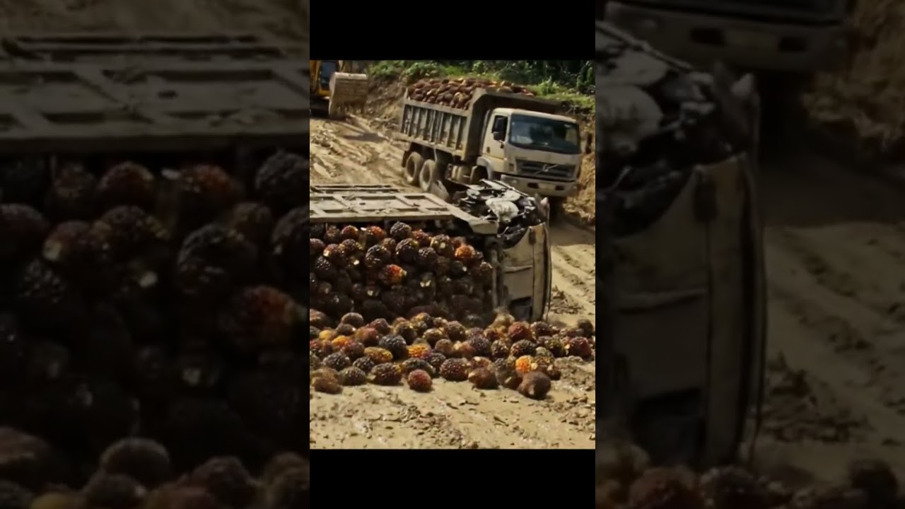 Jalan licin Truk terguling 