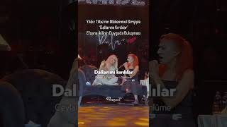 Ceylan ft Yıldız Tilbe- Dallarımı Kırdılar