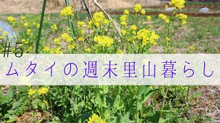 【自然菜園】春の自然菜園の畑で緑肥mixを撒く！GoPRO ４K映像