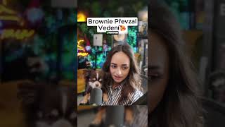 BROWNIE STREAMER!🥹