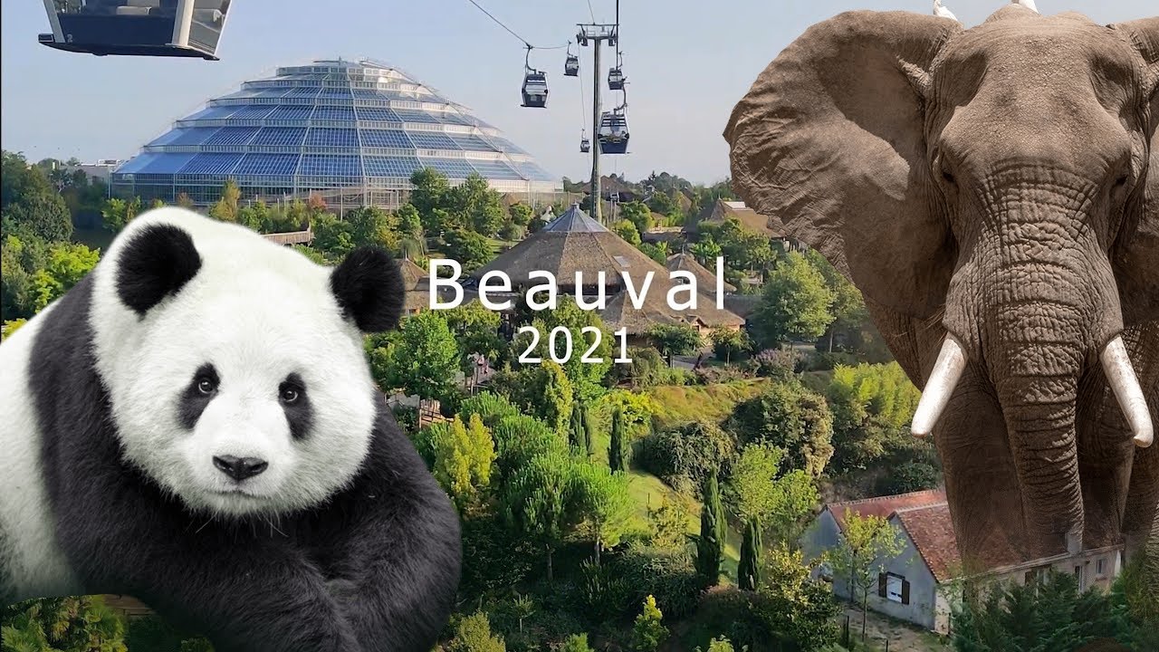 Photos - The ZooParc de Beauval - Tourism & Holiday Guide