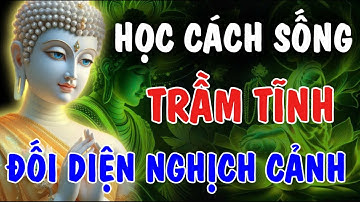 HỌC CÁCH SỐNG TRẦM TĨNH - ĐỐI DIỆN NGHỊCH CẢNH | Phật Từ An Nhiên